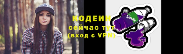 дмт Тобольск